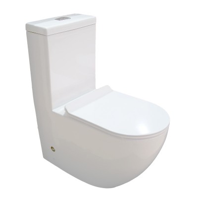 Washdownn one piece floor mounted toilet with UF close seat cover