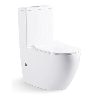 Water Closet Dual Flush Tornado Flushing Two Piece Western Toilet